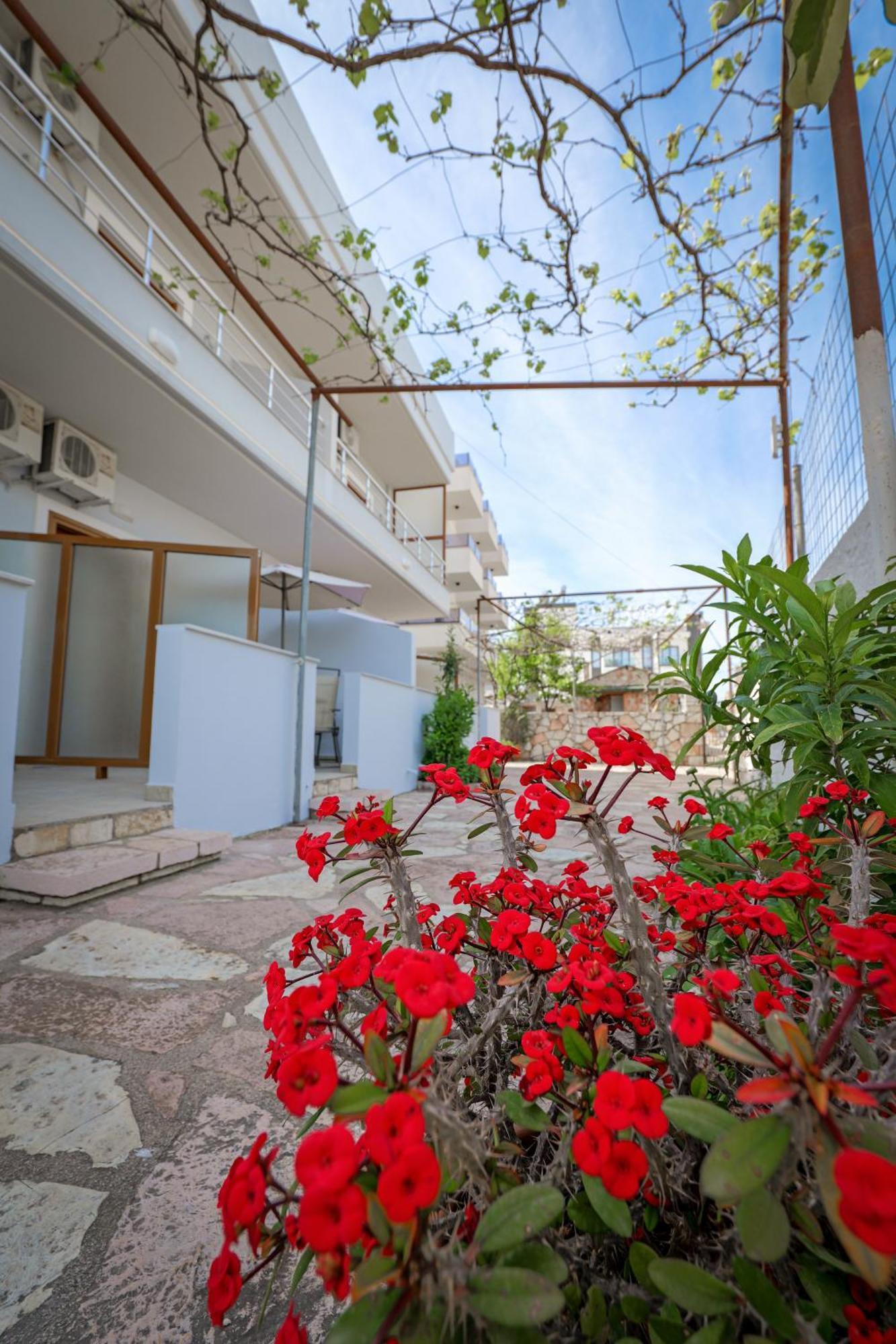 Apartamento Moonlight Ksamil